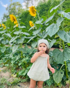 Esra Şengünalp Instagram - Ayçiçekleri kadar güzel bir hafta olsun! 🌻