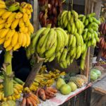 Estelle Lefébure Instagram – Surnommée l’Île Verte , l’Île de Pemba est un lieu unique .J’y ai notamment eu la chance de rencontrer ces femmes formidables qui cultivent les algues et d’y découvrir un marché  regorgeant de fruits et d’épices comme cette noix de muscade encore dans son fruit .

#ponant
#expeditioncruise 
#PONANTExplorations 
#instantponant
#collab