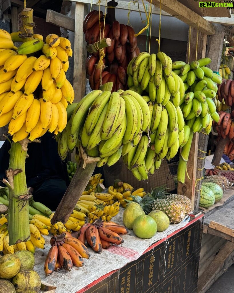 Estelle Lefébure Instagram - Surnommée l’Île Verte , l’Île de Pemba est un lieu unique .J’y ai notamment eu la chance de rencontrer ces femmes formidables qui cultivent les algues et d’y découvrir un marché regorgeant de fruits et d’épices comme cette noix de muscade encore dans son fruit . #ponant #expeditioncruise #PONANTExplorations #instantponant #collab