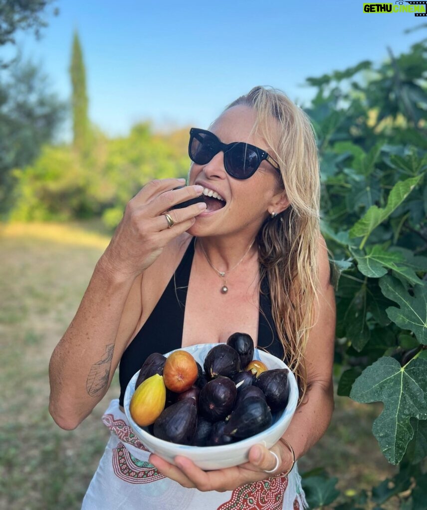 Estelle Lefébure Instagram - La récolte est délicieuse … Gourmandise #figuesfraiches #provence