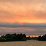 Estelle Lefébure Instagram - Jolie photo sans filtre mais triste .Hier , un feu s’est déclaré non loin d’ici ,à 20 mn (qu’est ce que c’est 20 mn de route , c’est rien ) . Voir le ciel se couvrir d’une fumée épaisse , qui cache petit à petit le soleil couchant , sentir cette odeur de brûlé en rentrant à la maison dans la nuit , et voir l’inquiétude de ce copain pompier qui prendra la relève ce matin pour lutter contre les flammes et essayer de préserver au mieux cette terre , c’est la réalité d’un été chaud , très chaud et de personnes inconscientes . Alors s’il vous plaît , fumeurs, campeurs , faites attention .. Pensées et courage aux @sapeurs_pompiers_de_france @spdefrance #provence #naturelovers