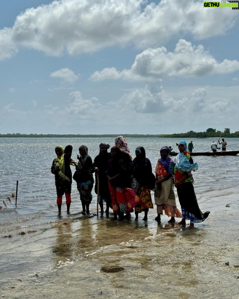 Estelle Lefébure Instagram - Surnommée l’Île Verte , l’Île de Pemba est un lieu unique .J’y ai notamment eu la chance de rencontrer ces femmes formidables qui cultivent les algues et d’y découvrir un marché regorgeant de fruits et d’épices comme cette noix de muscade encore dans son fruit . #ponant #expeditioncruise #PONANTExplorations #instantponant #collab