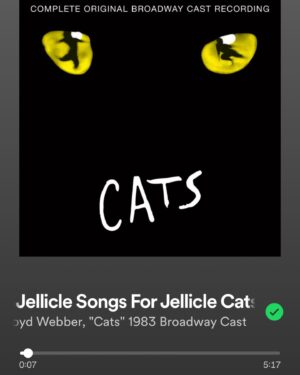 Esther Povitsky Instagram - love urself like ur a jellicle cat?