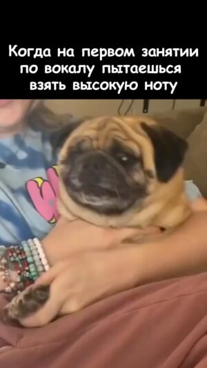 Eteri Beriashvili Instagram - Праздник должен быть у всех!!!
Птички мои, в честь моего дня рождения я продлила возможность попасть на курс до понедельника 🥳

Пишем в комментариях «курс» и вам позвонят мои помощники 🤗
Спешите! Ученики уже начали знакомиться ☺️