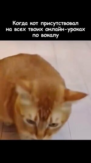 Eteri Beriashvili Instagram - Забирай 3 видео о новой вокальной методике. Ссылка у меня в шапке профиля🎁🤩