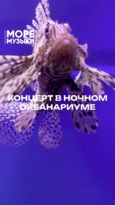 Eteri Beriashvili Instagram - Я выздоравливаю, дорогие! Предлагаю отметить это событие на концерте 2/02
🎟️ билеты в шапке профиля и сторис