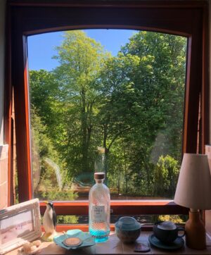 Eubha Akilade Instagram - My lil kitchen window view
