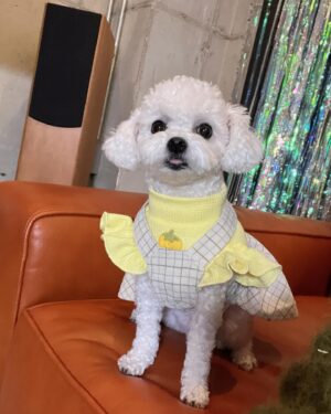 Eun Ji Instagram - 쌀밥이랑 함께한 8주년 축하하기! 호호💝 
(라렌아.... 넘 부담스럽네?🤭🥰)