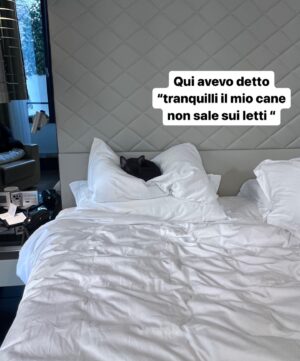 Euridice Axén Instagram - Qui e ora 🫀 #vitavera #qui #diario #fotoromanza