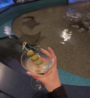 Eva Amurri Martino Instagram - Tomorrow Never Dies 😎🦈🍸🖤 Celebrated my 39th trip around the sun with the most fun little party! I didn’t know that a four course dinner party, eaten in front of a shark tank, was on my 2024 Bingo card. But man do I feel lucky that it was!! 😍 I love you @maritimeaquarium, you are perfect for every occasion and every age person. And thank you to everyone who helped me celebrate my birthday this past week. I’m so very grateful!

#thisis39 #birthdaygirl #jamesbond #bondstyle #jamesbond007 #maritimeaquarium 

🎂3️⃣9️⃣🎉