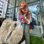 Eva Kramerová Instagram - 🦙😭💞✨ MI LU JEM ! Želám vám najkrajšiu sobotu 👐🏻 #periodt #modroočko #alpaca#alpacalove