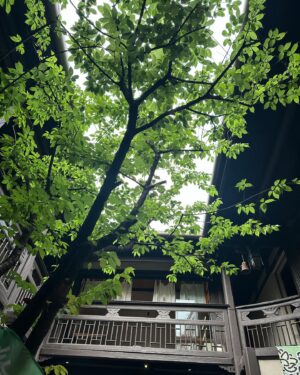 Evelyn Choi Instagram - 福州好熱
但煙台山不錯

#一人旅 #其實是尋親之旅