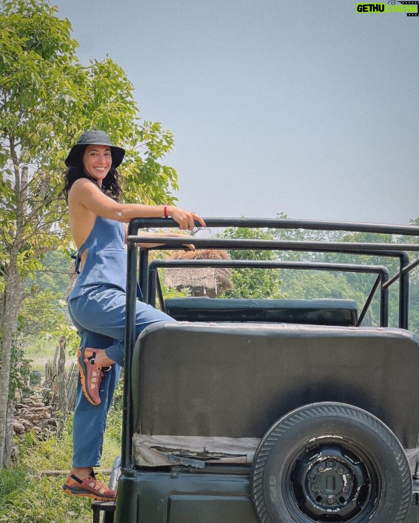 Evgenia Samara Instagram - [123/366•2024]* __________________ Safari mode 🔛🐘🐒🦏🐅 Όλα αυτά σε μια μέρα που μοιάζει με δέκα. Exploring Nepal day 5 #chitwannationalpark #safarilife