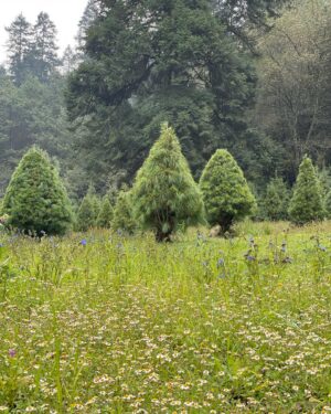 Fátima Molina Instagram - 🌲🌿🌱