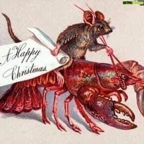 Fairuza Balk Instagram - Well…. BECAUSE!!! Who is to say that Mice don’t ride their pet racing lobsters on Xmass Eve!?