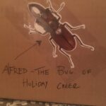 Fairuza Balk Instagram - Xmas bug decorations for the last few bundles . Why shouldn’t giant freaky beetles celebrate the Yuletide season!?