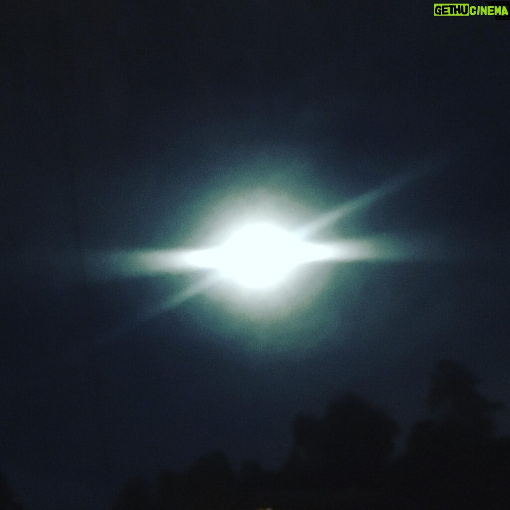Fairuza Balk Instagram - Happy Full Moon !!! I went for a wee walk tonight. The air is thick with the scent of night blooming flowers. .... and the night is full on the beauty that comes out as we sleep.