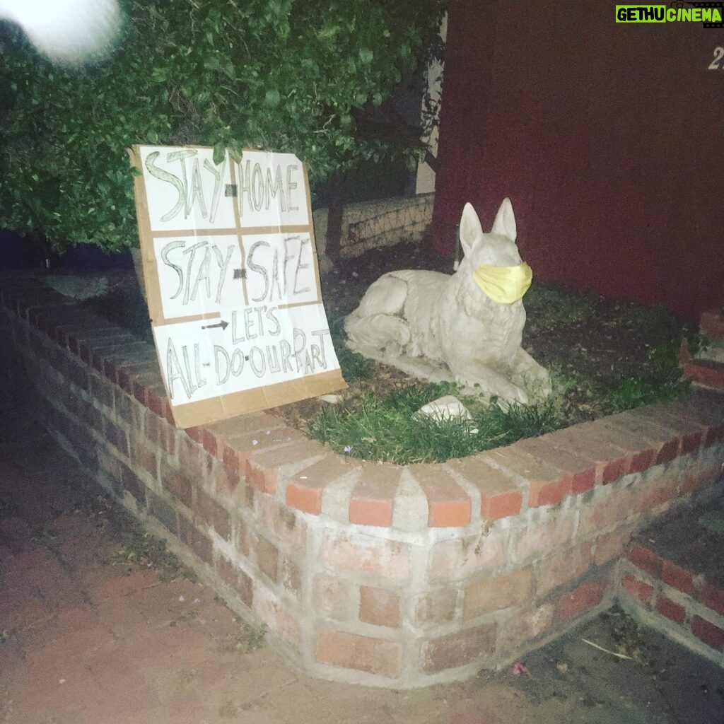 Fairuza Balk Instagram - Happy Full Moon !!! I went for a wee walk tonight. The air is thick with the scent of night blooming flowers. .... and the night is full on the beauty that comes out as we sleep.