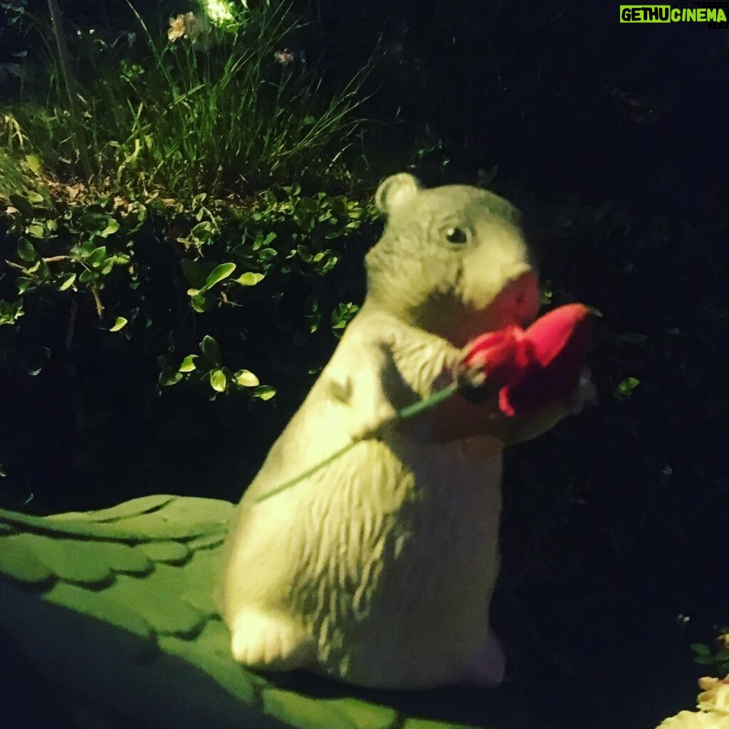 Fairuza Balk Instagram - Happy Full Moon !!! I went for a wee walk tonight. The air is thick with the scent of night blooming flowers. .... and the night is full on the beauty that comes out as we sleep.