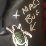 Fairuza Balk Instagram - Xmas bug decorations for the last few bundles . Why shouldn’t giant freaky beetles celebrate the Yuletide season!?