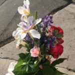 Fairuza Balk Instagram - Lovely fleurs I chored from the walkabout and my own garden tra-la. Tried to post them earlier but I guess they didn’t take.