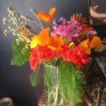Fairuza Balk Instagram - Lovely fleurs I chored from the walkabout and my own garden tra-la. Tried to post them earlier but I guess they didn’t take.