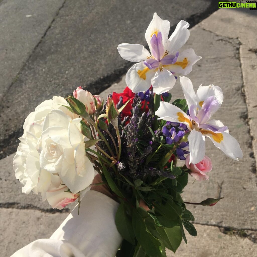 Fairuza Balk Instagram - Lovely fleurs I chored from the walkabout and my own garden tra-la. Tried to post them earlier but I guess they didn’t take.