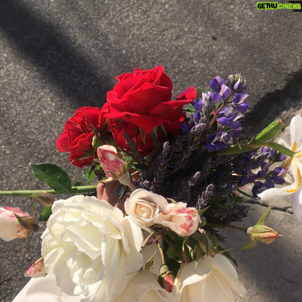 Fairuza Balk Instagram - Lovely fleurs I chored from the walkabout and my own garden tra-la. Tried to post them earlier but I guess they didn’t take.