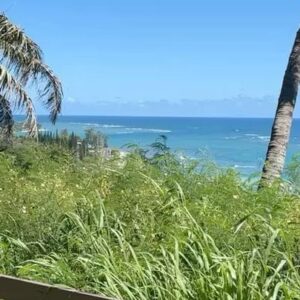 Faithe Herman Instagram - @kualoaranch mahalo 🫶🏽 my family and I had an amazing adventure on your ranch. It was beautiful ❤️ thank you ! We had the best tour guides Esther & Kendra. Thank you also Mr. Dean & Mr. Frank! #kualoaranch #ATVtours #northshore #hawaii