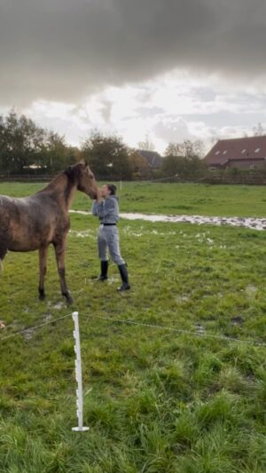 Fajah Lourens Instagram - Een ochtend op de boerderij. Deze dieren maken mn leven zo compleet. Ook al sta ik poep te scheppen in de regen of maken de honden alles vies de liefde die ik van ze ontvang is onvoorwaardelijk en mijn liefde voor hen ook. I  am blessed ♥️ #fajahsfarm