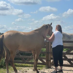 Fajah Lourens Instagram - Vandaag twee mooie coching sessies gehad. Ik doe de opleiding paarden coaching bij @keulseweg en in Oktober heb ik mijn diploma. Tot die tijd geef ik nog gratis coaching sessies. Ik zit al redelijk vol maar je kan altijd in de comments laten weten als je open staat voor een sessie ♥️