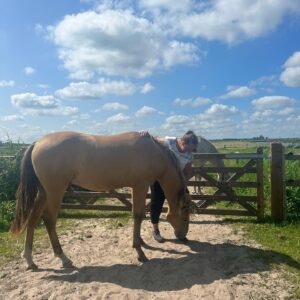 Fajah Lourens Instagram - Vandaag twee mooie coching sessies gehad. Ik doe de opleiding paarden coaching bij @keulseweg en in Oktober heb ik mijn diploma. Tot die tijd geef ik nog gratis coaching sessies. Ik zit al redelijk vol maar je kan altijd in de comments laten weten als je open staat voor een sessie ♥️