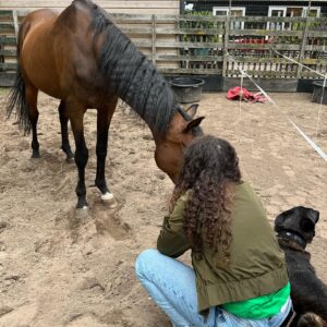 Fajah Lourens Instagram - 11 jaar geleden moest ik dit geweldige paard loslaten. Ik had geen geld meer om mijn paarden te onderhouden na de scheiding. Dit was een van de pijnlijkste gebeurtenissen uit mn leven die ik over de jaren langzaam wanneer ik het toeliet beetje voor beetje heb verwerkt. Ik durfde niet te bellen omdat ik bang was dat hij dood was. Gelukkig leeft hij nog en heb ik destijds een hele lieve nieuwe mama voor hem gevonden. Dankjewel Lieve @romyvaassen voor je lieve zorgen. Het koste me even om alles weer op te bouwen en nu pakt niemand dat ooit nog van me af. Mijn twee prachtige PRE jaarlingen zullen voor altijd aan mijn zijde zijn. Ik verheug me op ons Spanje avontuur en geniet van elke coaching sessie die ze geven. Zo zie je maar dat je altijd een keus hebt. Je kan jezelf uit elke situatie omhoog halen met de juiste #killermindset