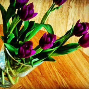 Falamak Joneydi Instagram - تا به امروز همواره رای دادن را شجاعانه تر از قهر کردن دیده ام
در زندگی شخصیم قهر کردن هرگز علاج مشکلاتم نبوده و از جایی یاد گرفتم قهر راه حل نیست و واکنشی ناکارآمد و از سر خشم است. شما را نمی دانم اما خشم من را مریض می کند.
 من رای می دهم.