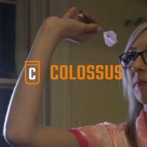 Fallon Sherrock Instagram - So excited to be working with @colossusbets_ ❤️❤️