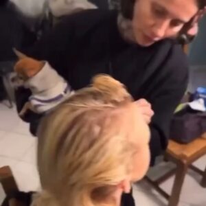Fanny Maurer Instagram - Peanut. 19h27. Un tour complet autour du soleil sans toi. À partir de maintenant, je ne pourrai plus dire « l’année dernière avec Peanut… ». T’es beaucoup trop loin. Un vide intersidéral, une douleur inconsolable, un ennui profond de toi et un manque incommensurable. Malgré la douleur insurmontable de mon deuil, je suis fière et honorée d’avoir été celle qui a partagé ta vie, de t’avoir laissée être celle que tu devais être avec ta personnalité si forte, si expressive, tu étais si intelligente et tellement drôle, vraiment chiante aussi parfois, une aptitude incroyable à communiquer si clairement et à te faire au monde des humain.es même si tu ne leur faisais pas confiance. Je suis aussi fière et honorée d’être celle qui a ce magnifique privilège de continuer à te donner la place que tu mérites dans ce monde. Je ne te laisserai jamais devenir un souvenir et tu resteras ma priorité même si tu n’es plus là.
Les gens se trompent tellement sur les animaux. Je leur souhaite à tous d’être autant aimés, choyés et pleurés. 
Cette année a été difficile mais elle a aussi été belle malgré tout. Ma vie a vraiment beaucoup changé, j’ai beaucoup changé. Mais d’une autre manière cette fois. Cette douleur là te change à jamais. 

Et bien que je sois épanouie aujourd’hui, la douleur de ton absence continue de me perforer le cœur et de vider cette espace entre ma gorge et mon estomac. 

Merci d’avoir été, d’être et de rester la meilleure chose qui me soit arrivée. Ma vie avec toi a donné un sens à mon passage sur terre, les vibrations de notre amour continueront de perturber l’univers même après mon départ. Merci de m’avoir honorée de ta vie, de ta présence et de ta confiance. Merci de m’avoir toujours crue et comprise. Merci de m’avoir sauvée et de n’être partie que quand tu as su que tout irait bien, de m’avoir fait confiance les yeux fermés, de m’avoir suivie partout en étant toujours heureuse de tout faire tant qu’on était ensemble et de m’avoir tant aimée. Je ne changerais absolument rien à ces 12 années, sauf le moment où tu m’as quittée. Mais même là, tu as été courageuse, gracieuse et forte. Ensemble jusqu’à ton dernier souffle.

Merci Peanut, c’était génial ❤️