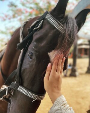 Farnaz Shetty Instagram - Embrace 
.
.
.
.
.
.
.
.
.
.
.
.
.
#love #horse #favourite #touched #soul #tender #loyal #royal #black beauty #lovely #embrace