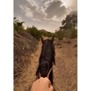 Fatemeh Masoudifar Instagram - .
.

اسب‏ها یک روز باز
روی پا می‌‏ایستند،
آخر آنها اهل خواب
اهل آخور نیستند،
یک شبی گم می‌‏شوند
اسب‏ها در بهت دشت…