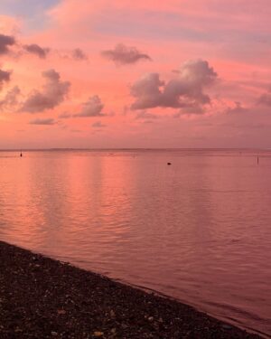 Felicity Palmateer Instagram - Better than a poke in the eye with a sharp stick 🌴🌅🩵💎🌈🌊🍇🥑🥥🏝️🤿