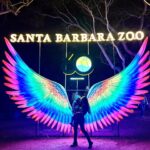 Fernanda Machado Instagram - Zoo lights, sempre lindo nessa época do ano! Todo dezembro, esse é um passeio imperdível com meus amores. #zoolights #funwithmyboys #mamabird #mamapower #supermamae #diversãocommeusmeninos
