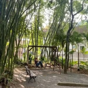 Fernanda Nobre Instagram - 2023 inventei a loucura de começar um mestrado! E olha… tá sendo punk! Apliquei meu projeto sem acreditar muito que seria possível, e não é que passei tanto para PUC Rio quanto para PUC SP? Pelo visto só eu não acreditava que esse projeto era bom. Escolhi o Rio por várias razões mas a principal delas é por causa do corpo docente e minha orientadora, Ana Kiffer, que já acompanhava com admiração há muito tempo. Cheguei e encontrei vários empecilhos, mas tudo bem, respirei e foquei no objetivo inicial e final de exercitar meu conhecimento, afinal de contas o nome “academia” sugere bem isso. Se a gente malha os músculos todos os dias, por que não malhar as sinapses também? O primeiro semestre foi rolamento na escadaria da vida e agora no segundo semestre, depois de entender um pouco mais a dinâmica, tentei ter uma rotina de estudos e escrita. Foi difícil demaaais! Vocês vão me entender: é difícil ser chefe de si mesmo e mais ainda perder o hábito de procrastinar mexendo no celular, quanto me dou conta to há 1 hora vagando por aqui. Fiz vários métodos. Alarmes de 1 em 1 hora com intervalos de 15 min. Acordar às 5:30 da manhã para produzir antes do WhatsApp bombar de mensagens… Ate que descobri a biblioteca da universidade. E aqui estou. Finalizando o último trabalho que precisava entregar neste semestre. Meu Deus, já passou 1 ano que estou vivendo intensamente essa aventura! Ufa. Agora partiu férias! Bahia, tô ansiosa para viver você.