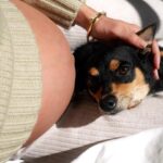Fernanda Romero Instagram - Is it true that dogs can sense something is happening when we're pregnant? They definitely have a keen sense of smell and may become more protective, leading to a stronger bond. Take a look at the second picture; I have no words… you guys tell me.. 😂 is this going to be a forever LOVE? 🥰🤍🐶 Outfit by @zara Comfy sheets @pact These are truly the@most cozy and soft sheets EVER to cuddle. 📸 @anastasiatamarina