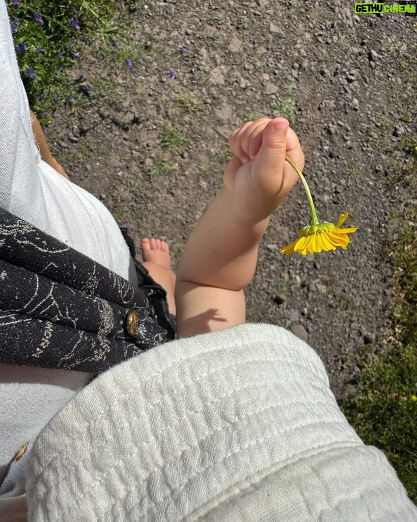 Filipa Areosa Instagram - Spring is my thing 🌼🌸🌺🌻