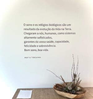 Filipa Nascimento Instagram - Nos últimos dias conseguimos respirar e desacelerar, num lugar lindo onde somos todos bem-vindos 🤍🐶