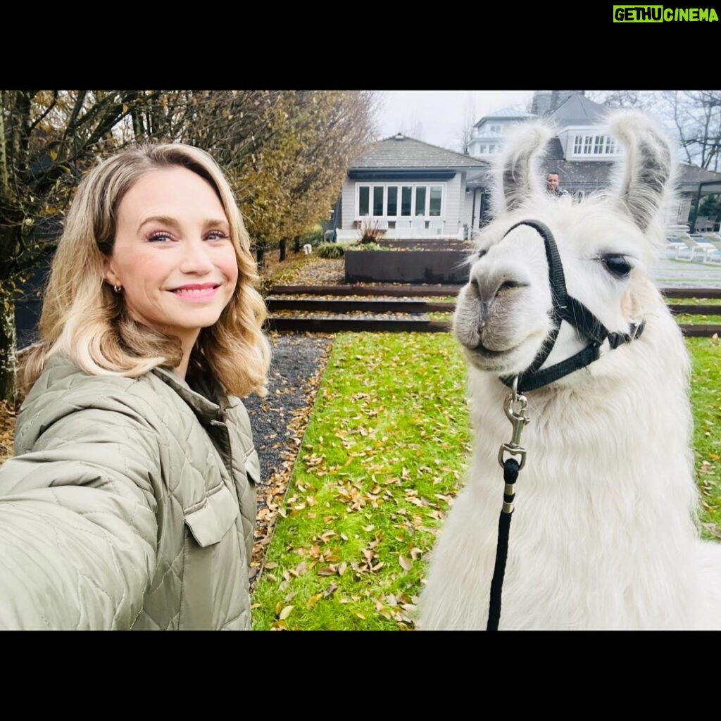 Fiona Gubelmann Instagram - When the talented peeps making “Animal Control” ask you to play with them, you say YES!!! Watch me tonight on ANIMAL CONTROL on @foxtv at 9/8c I had a blast with these talented ladies. Thanks for the laughs and for being such sweet lovely supportive women! @vellalovell @gracemmpalmer @vellalovell 🦙🦙🦙🦙🦙🦙🦙 #animalcontrolonfox