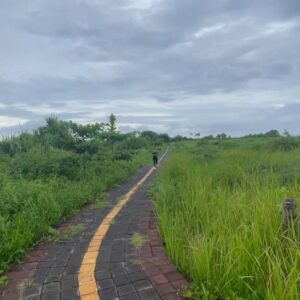 Fitrie Rachmadhina Instagram - Slow morning like these; long walks, slow running, listening to the waves, feed the bird, smile to the universe, & meditate. 

#nusalembongan
