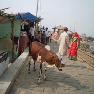 Fotinì Peluso Instagram - Come va il tuo caos vitale?

BOMBAY MAXIMUM CITY
February-March 2023