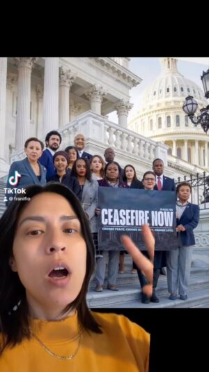 Francesca Fiorentini Instagram - THANK. DEFEND. DONATE. These are the congresspeople who we need more of if we are ever to stand up to war makers and weapons industry and to SAVE LIVES. And the israeli lobby has and will  come for them. Also Barbara Lee for Senate LFG!!! #ceasefirenow #gaza