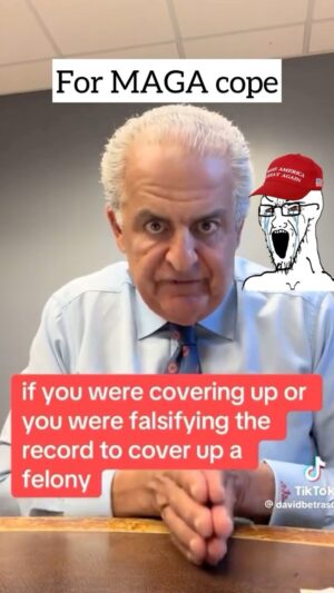Francesca Fiorentini Instagram - For those coping about the guilty verdict in my mentions, keep crying. Here's an actual lawyer explaining it for all the toadies.