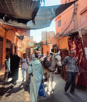 Francesca Valtorta Instagram - Due povere pazze vestite come se fossero a Saint Tropez si aggirano per Marrakech 💙💚
Resoconto della prima giornata.
@edvige_l 

#travel #happiness #friends #marrakech #francescavaltorta